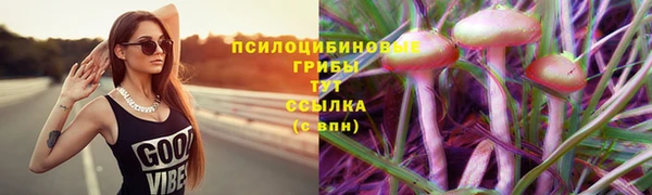 мдпв Армянск