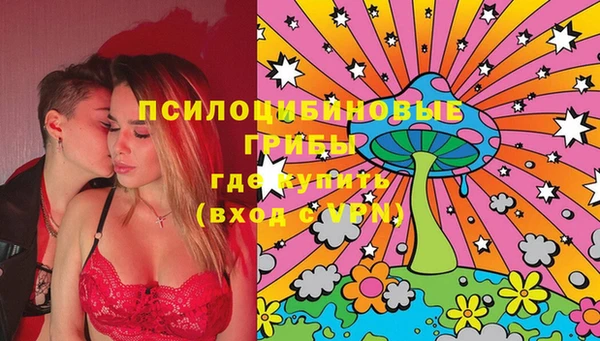 мдпв Армянск