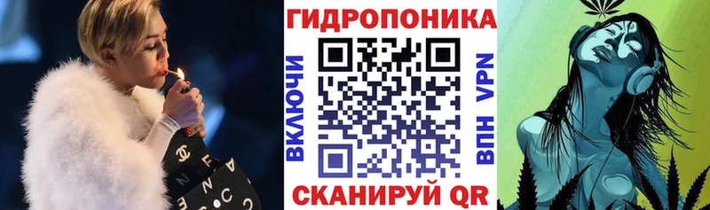 Конопля OG Kush  Чаплыгин 